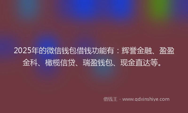 2025年的微信钱包借钱功能有：辉誉金融、盈盈金科、橄榄信贷、瑞盈钱包、现金直达等。