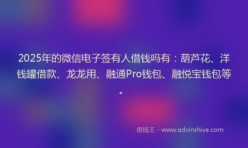 2025年的微信电子签有人借钱吗有：葫芦花、洋钱罐借款、龙龙用、融通Pro钱包、融悦宝钱包等。