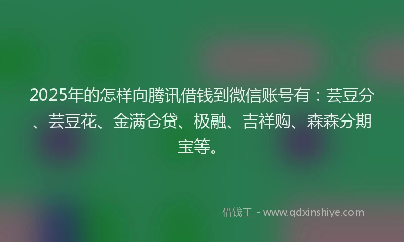2025年的怎样向腾讯借钱到微信账号有：芸豆分、芸豆花、金满仓贷、极融、吉祥购、森森分期宝等。