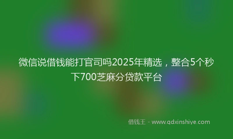 微信说借钱能打官司吗2025年精选，整合5个秒下700芝麻分贷款平台