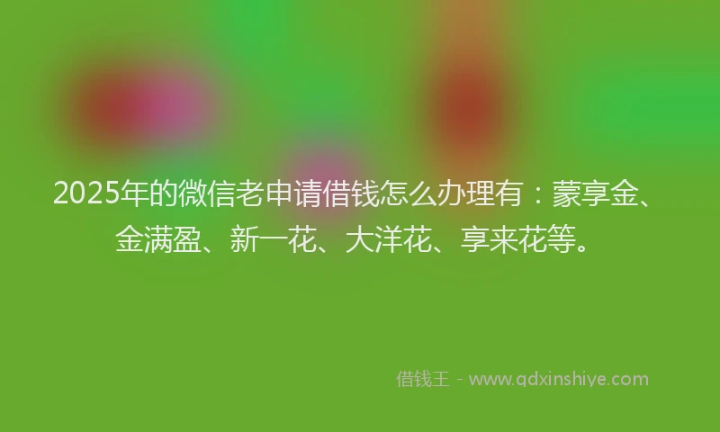 2025年的微信老申请借钱怎么办理有：蒙享金、金满盈、新一花、大洋花、享来花等。