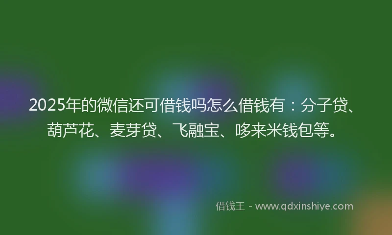 2025年的微信还可借钱吗怎么借钱有：分子贷、葫芦花、麦芽贷、飞融宝、哆来米钱包等。
