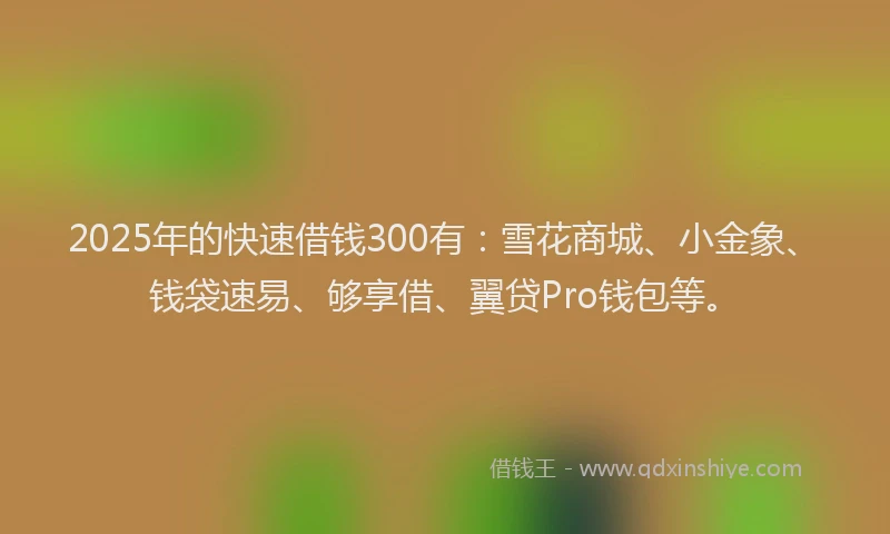 2025年的快速借钱300有：雪花商城、小金象、钱袋速易、够享借、翼贷Pro钱包等。