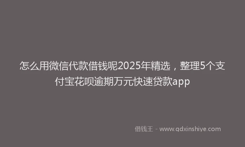 怎么用微信代款借钱呢2025年精选，整理5个支付宝花呗逾期万元快速贷款app