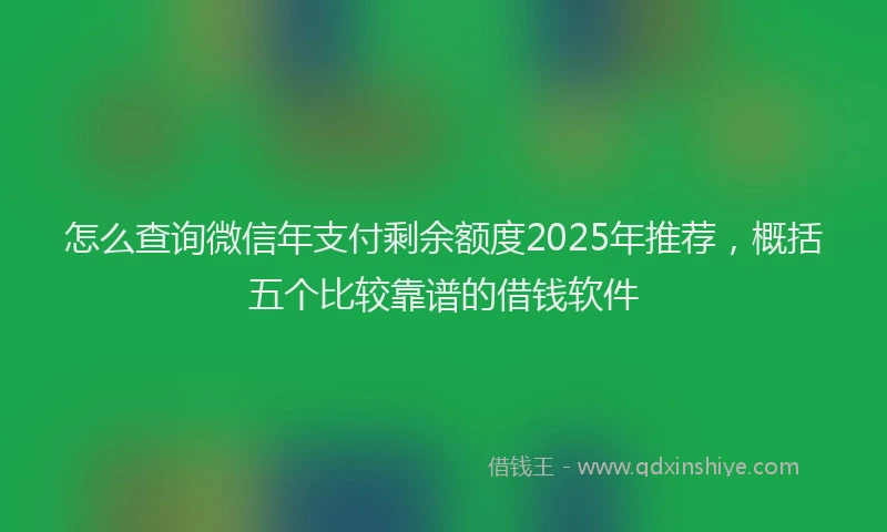 怎么查询微信年支付剩余额度2025年推荐，概括五个比较靠谱的借钱软件