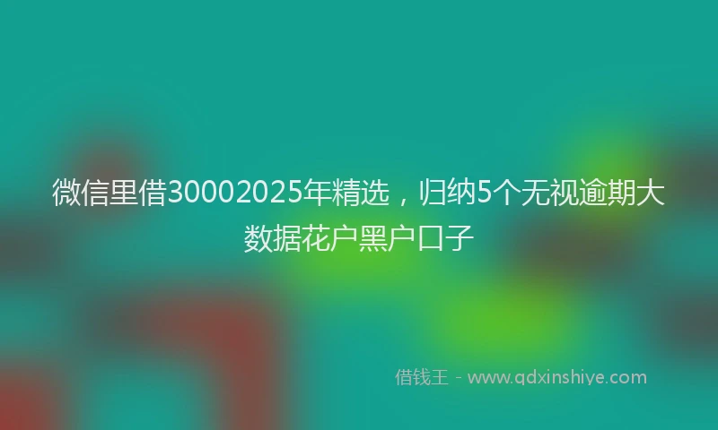 微信里借30002025年精选，归纳5个无视逾期大数据花户黑户口子