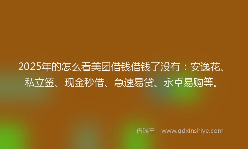 2025年的怎么看美团借钱借钱了没有：安逸花、私立签、现金秒借、急速易贷、永卓易购等。