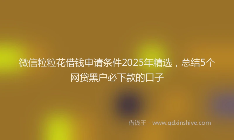 微信粒粒花借钱申请条件2025年精选，总结5个网贷黑户必下款的口子