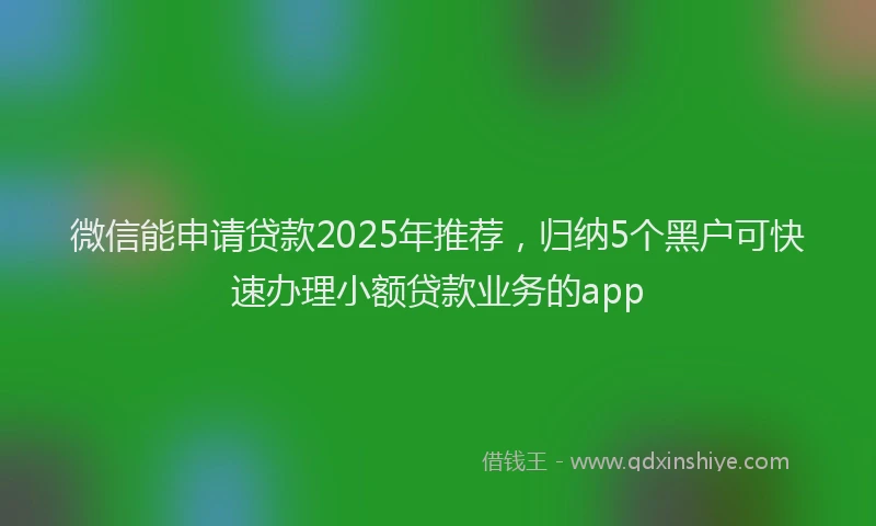 微信能申请贷款2025年推荐，归纳5个黑户可快速办理小额贷款业务的app