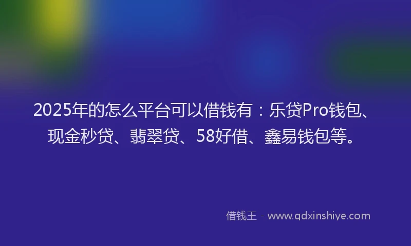 2025年的怎么平台可以借钱有：乐贷Pro钱包、现金秒贷、翡翠贷、58好借、鑫易钱包等。