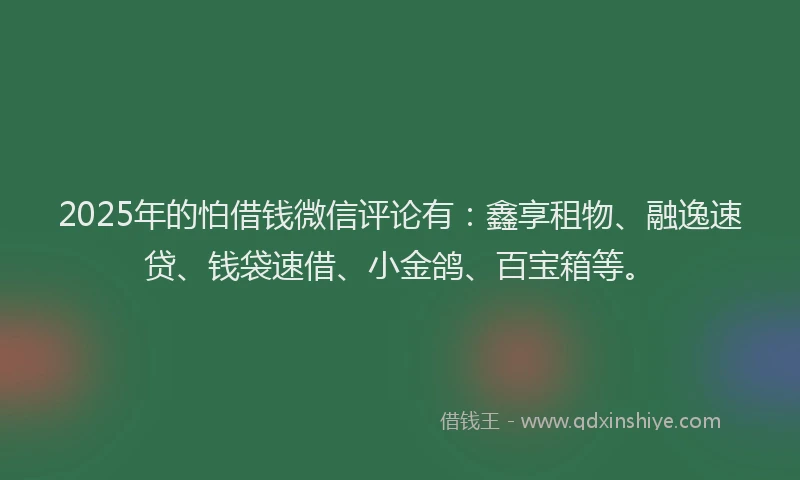 2025年的怕借钱微信评论有：鑫享租物、融逸速贷、钱袋速借、小金鸽、百宝箱等。