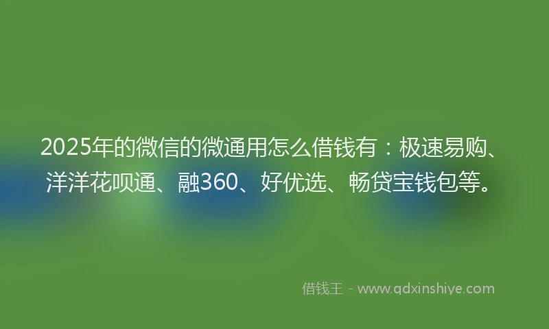 2025年的微信的微通用怎么借钱有：极速易购、洋洋花呗通、融360、好优选、畅贷宝钱包等。