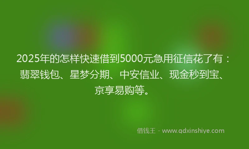 2025年的怎样快速借到5000元急用征信花了有：翡翠钱包、星梦分期、中安信业、现金秒到宝、京享易购等。