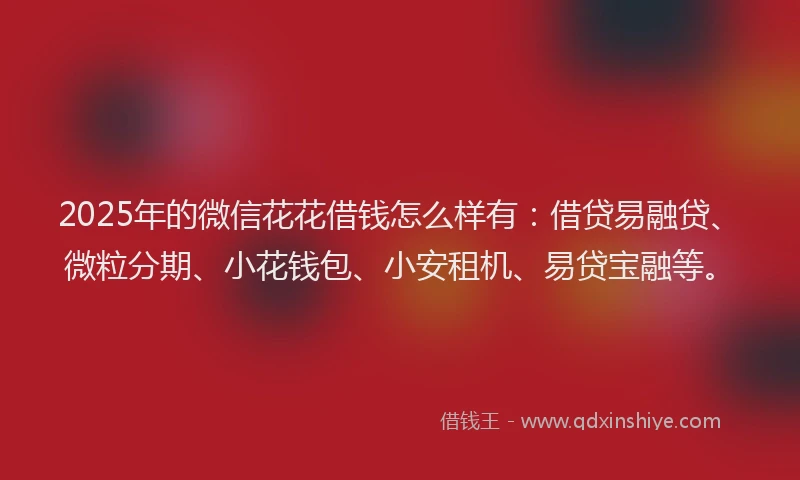 2025年的微信花花借钱怎么样有：借贷易融贷、微粒分期、小花钱包、小安租机、易贷宝融等。
