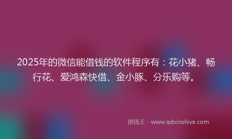2025年的微信能借钱的软件程序有：花小猪、畅行花、爱鸿森快借、金小豚、分乐购等。