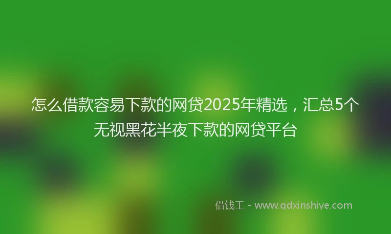 怎么借款容易下款的网贷2025年精选，汇总5个无视黑花半夜下款的网贷平台