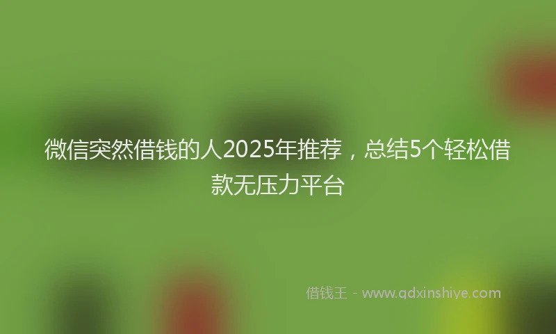 微信突然借钱的人2025年推荐，总结5个轻松借款无压力平台