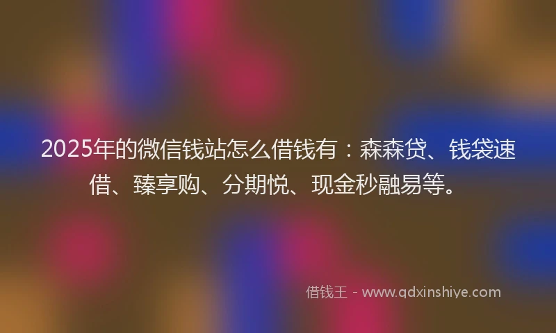2025年的微信钱站怎么借钱有：森森贷、钱袋速借、臻享购、分期悦、现金秒融易等。