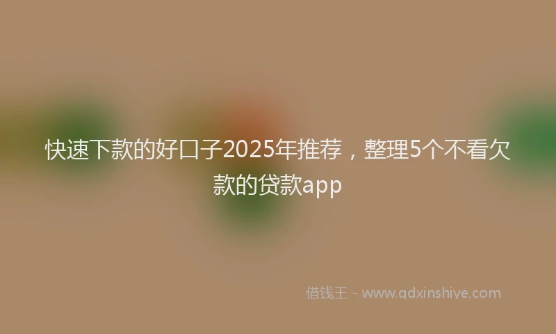 快速下款的好口子2025年推荐，整理5个不看欠款的贷款app