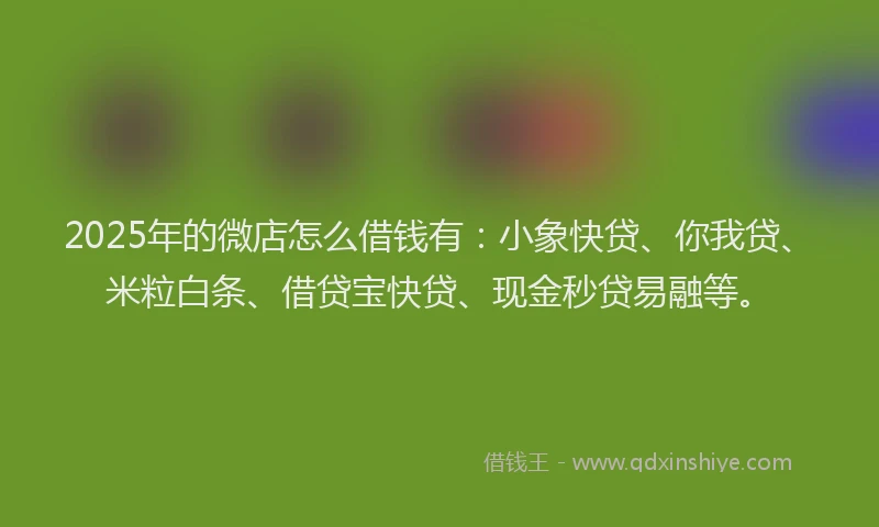 2025年的微店怎么借钱有：小象快贷、你我贷、米粒白条、借贷宝快贷、现金秒贷易融等。