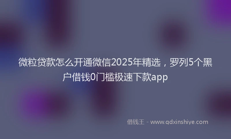 微粒贷款怎么开通微信2025年精选，罗列5个黑户借钱0门槛极速下款app