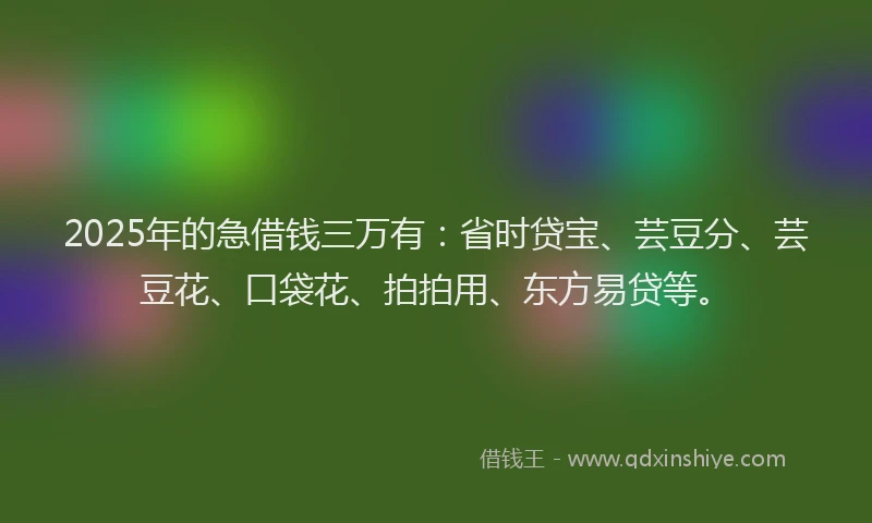 2025年的急借钱三万有：省时贷宝、芸豆分、芸豆花、口袋花、拍拍用、东方易贷等。