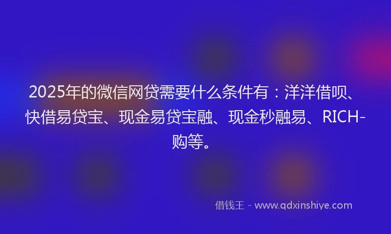 2025年的微信网贷需要什么条件有：洋洋借呗、快借易贷宝、现金易贷宝融、现金秒融易、RICH-购等。