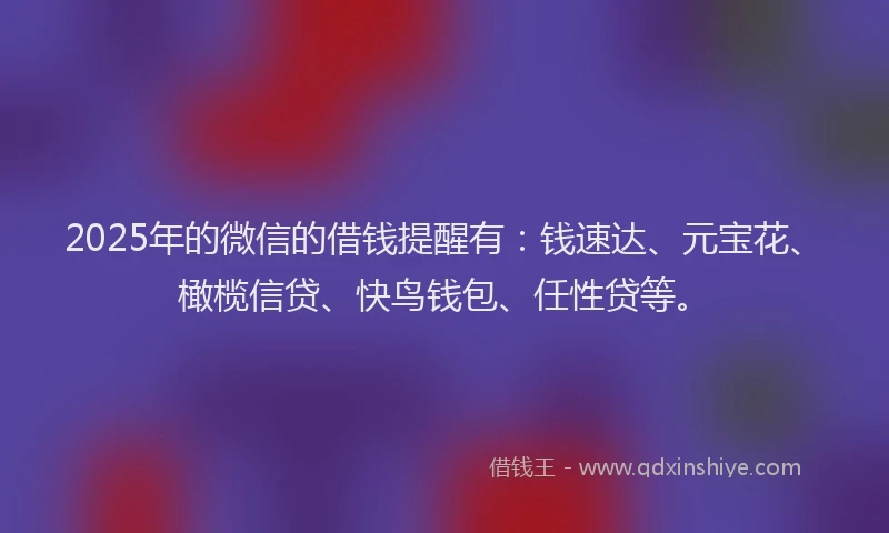 2025年的微信的借钱提醒有：钱速达、元宝花、橄榄信贷、快鸟钱包、任性贷等。