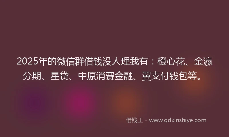 2025年的微信群借钱没人理我有：橙心花、金瀛分期、星贷、中原消费金融、翼支付钱包等。