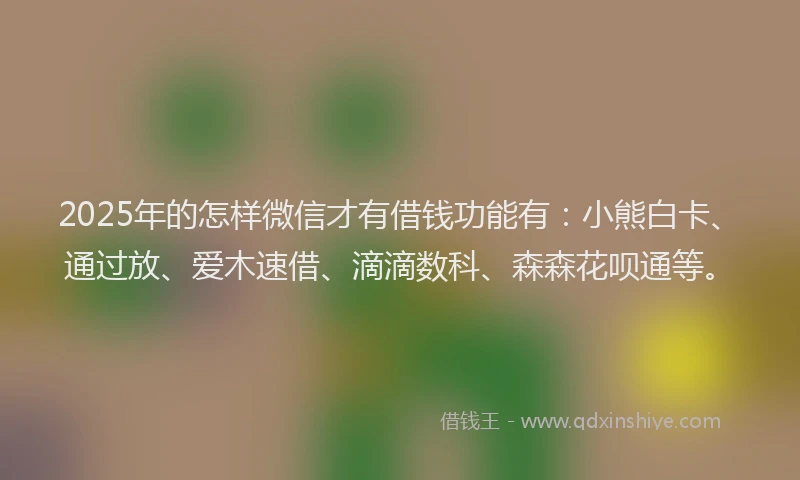 2025年的怎样微信才有借钱功能有：小熊白卡、通过放、爱木速借、滴滴数科、森森花呗通等。