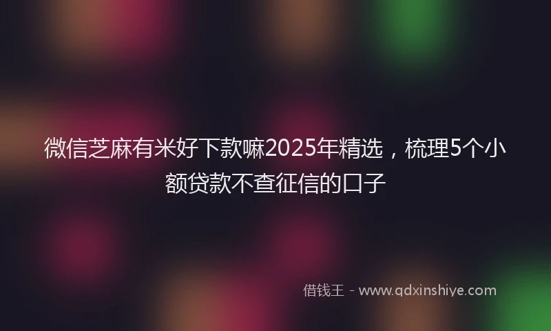 微信芝麻有米好下款嘛2025年精选，梳理5个小额贷款不查征信的口子