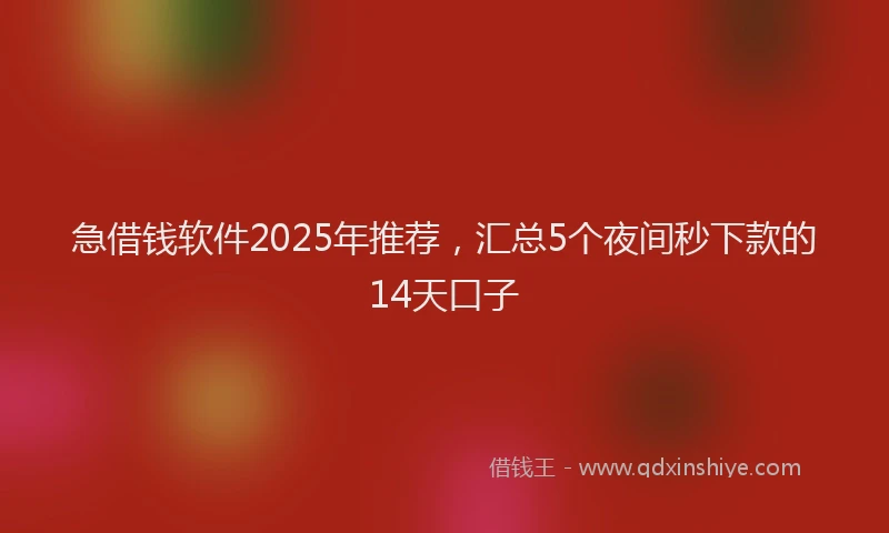急借钱软件2025年推荐，汇总5个夜间秒下款的14天口子