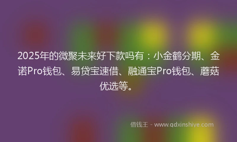 2025年的微聚未来好下款吗有：小金鹤分期、金诺Pro钱包、易贷宝速借、融通宝Pro钱包、蘑菇优选等。