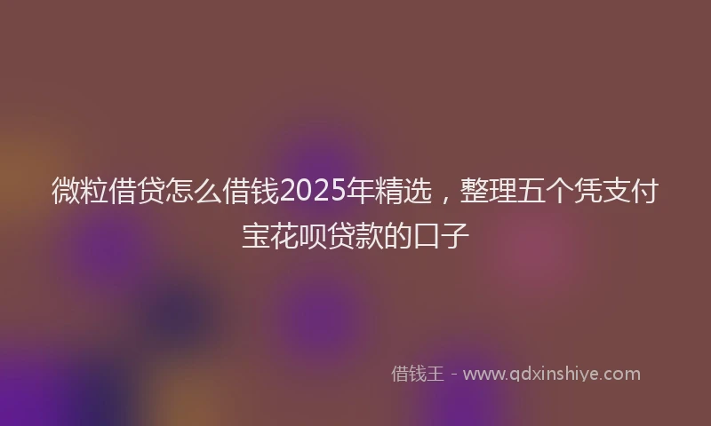 微粒借贷怎么借钱2025年精选，整理五个凭支付宝花呗贷款的口子