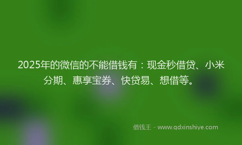 2025年的微信的不能借钱有：现金秒借贷、小米分期、惠享宝券、快贷易、想借等。