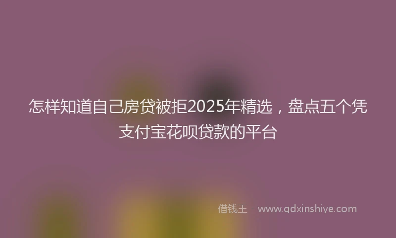 怎样知道自己房贷被拒2025年精选，盘点五个凭支付宝花呗贷款的平台