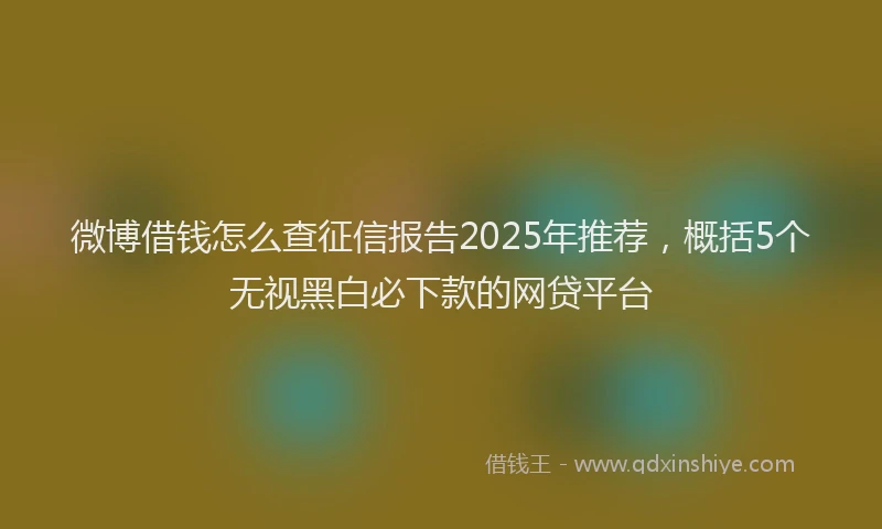 微博借钱怎么查征信报告2025年推荐，概括5个无视黑白必下款的网贷平台