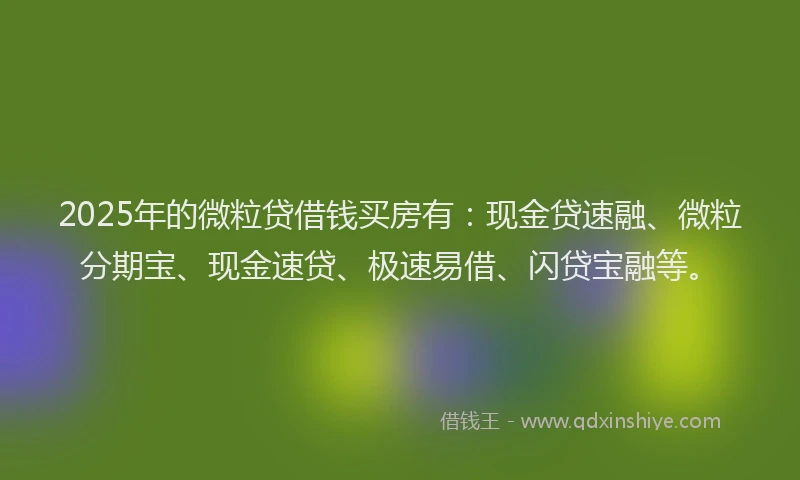 2025年的微粒贷借钱买房有：现金贷速融、微粒分期宝、现金速贷、极速易借、闪贷宝融等。