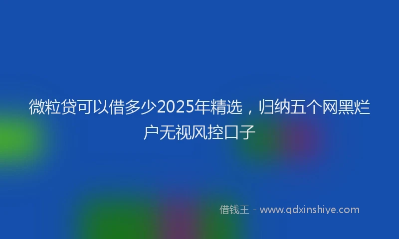 微粒贷可以借多少2025年精选，归纳五个网黑烂户无视风控口子