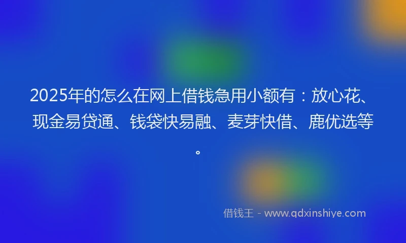 2025年的怎么在网上借钱急用小额有：放心花、现金易贷通、钱袋快易融、麦芽快借、鹿优选等。