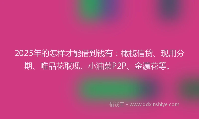 2025年的怎样才能借到钱有：橄榄信贷、现用分期、唯品花取现、小油菜P2P、金瀛花等。