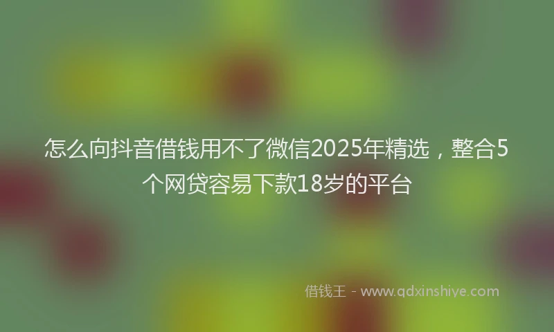 怎么向抖音借钱用不了微信2025年精选，整合5个网贷容易下款18岁的平台