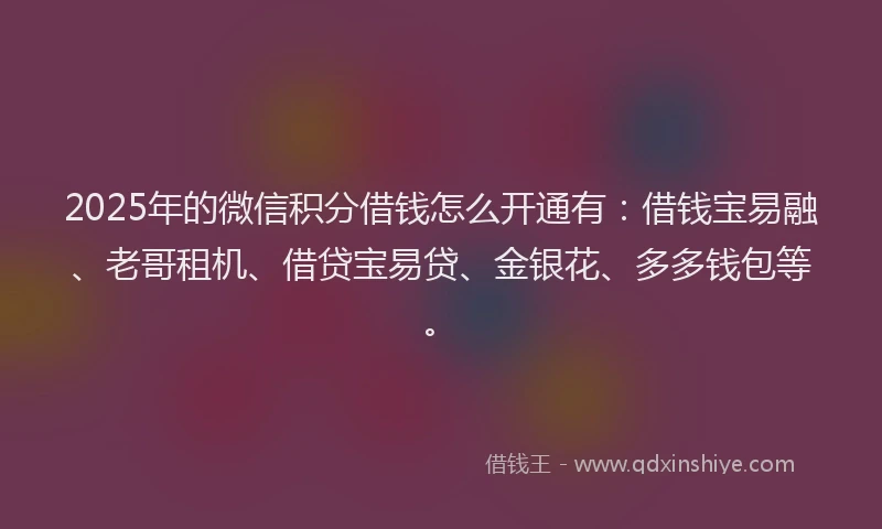 2025年的微信积分借钱怎么开通有：借钱宝易融、老哥租机、借贷宝易贷、金银花、多多钱包等。