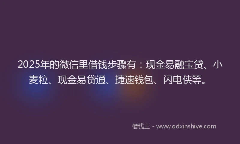 2025年的微信里借钱步骤有：现金易融宝贷、小麦粒、现金易贷通、捷速钱包、闪电侠等。