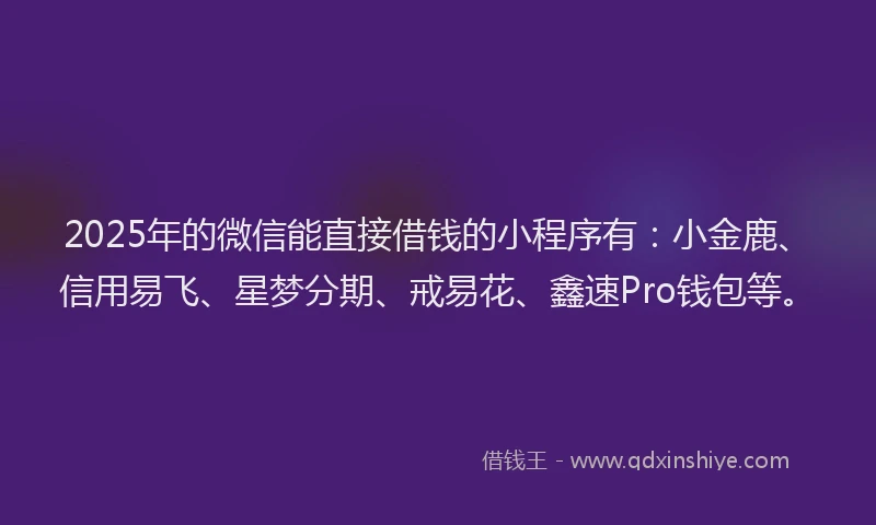 2025年的微信能直接借钱的小程序有：小金鹿、信用易飞、星梦分期、戒易花、鑫速Pro钱包等。