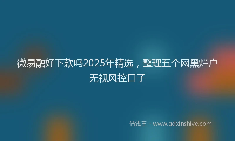 微易融好下款吗2025年精选，整理五个网黑烂户无视风控口子