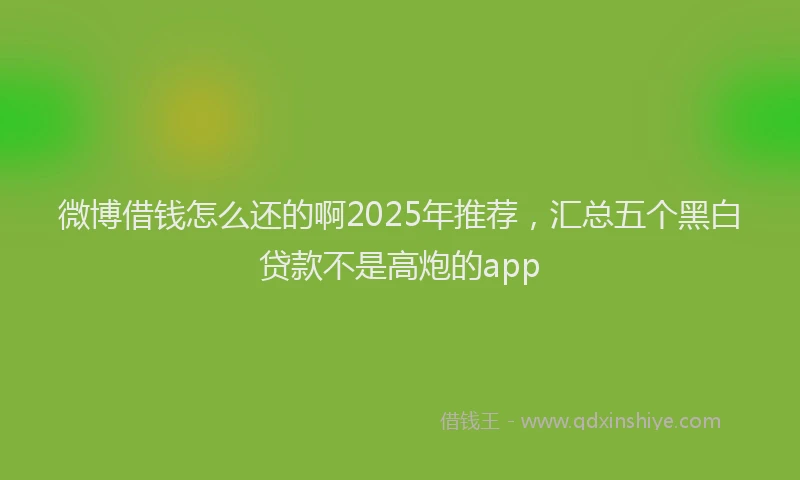 微博借钱怎么还的啊2025年推荐，汇总五个黑白贷款不是高炮的app