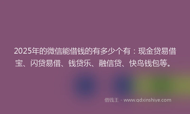 2025年的微信能借钱的有多少个有：现金贷易借宝、闪贷易借、钱贷乐、融信贷、快鸟钱包等。