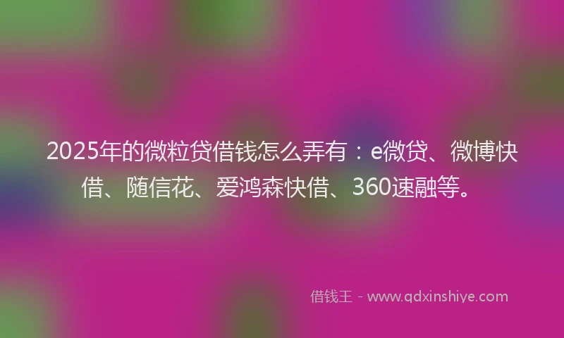 2025年的微粒贷借钱怎么弄有：e微贷、微博快借、随信花、爱鸿森快借、360速融等。