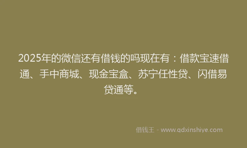2025年的微信还有借钱的吗现在有：借款宝速借通、手中商城、现金宝盒、苏宁任性贷、闪借易贷通等。